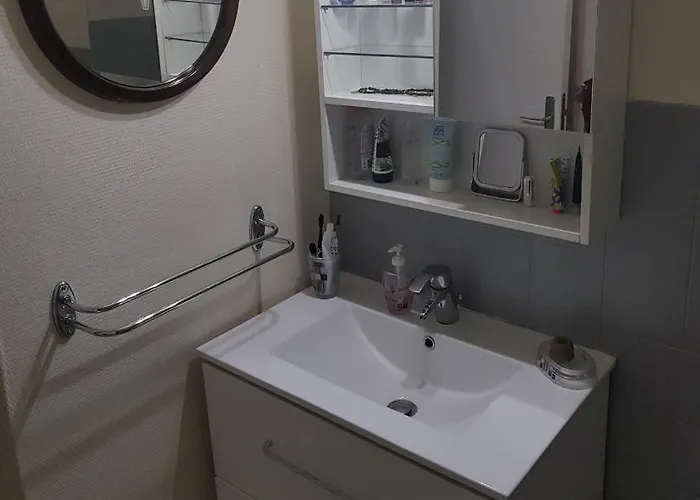 Apartment T1bis De 30m2 *